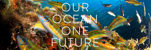 Our Ocean Conference 2016